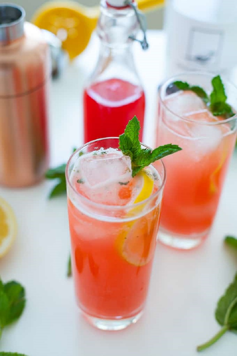 Strawberry Rhubarb Gin Fizz Diet-Friendly Fruity Cocktails Perfect for Summer