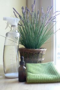 bug chemicals pests deet
