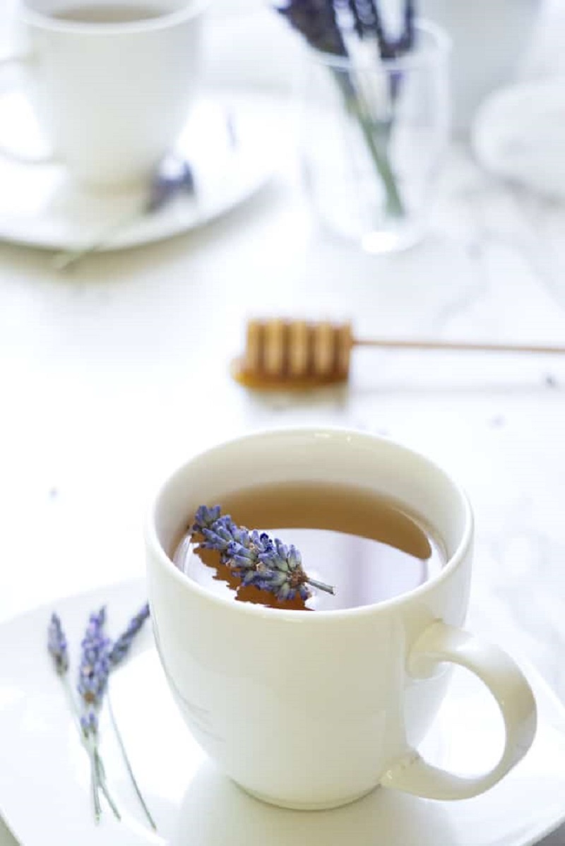 Best Herbs for Sleep and Herbal Tea Recipes That Will Help You Fall Asleep Fast
