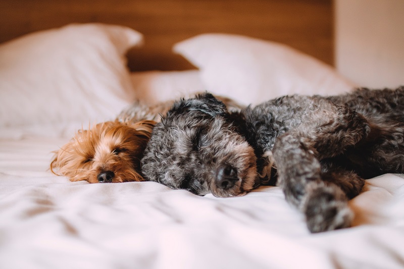 20 Best Bedroom Tips for Better Sleep