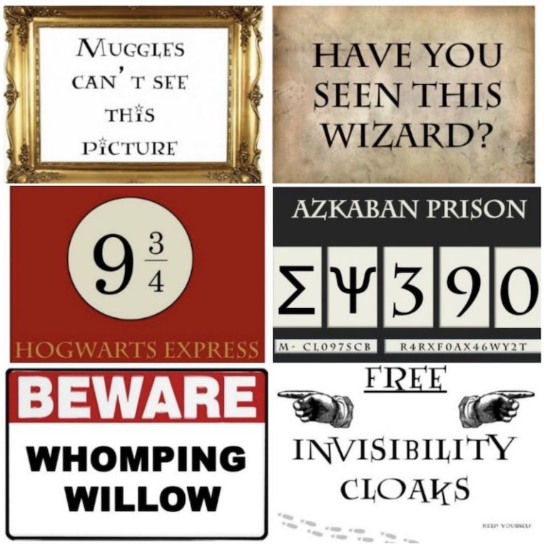 55 Best Ever Harry Potter Party Ideas • Sarah Blooms