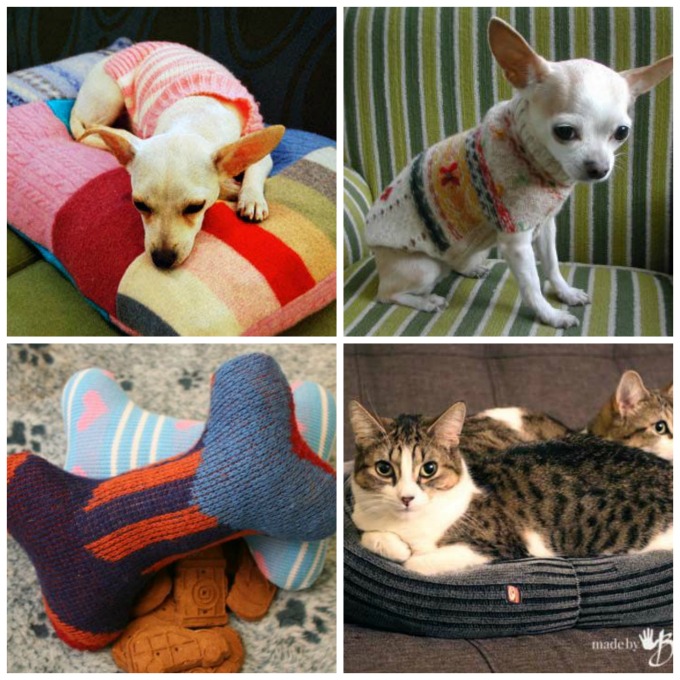 diy-pet-projects-sarah-blooms