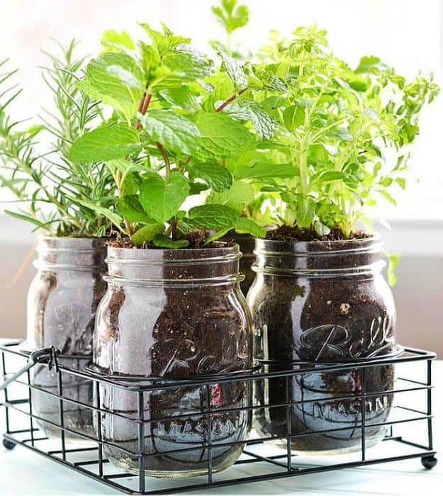 Plant an indoor herb garden Amazing Kitchen Hacks
