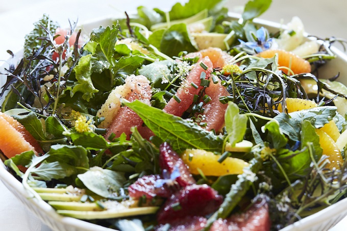 Best Ever Breakfast Salads Perfect for Busy Mornings