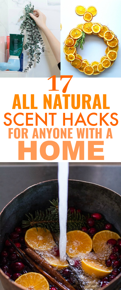 Frugal All Natural Smell Hacks That Will Destroy Odors #diycleaning #diyhome #cleaninghacks #smellhacks #scenthacks #frugal #savemoney #allnatural #naturalcleaning
