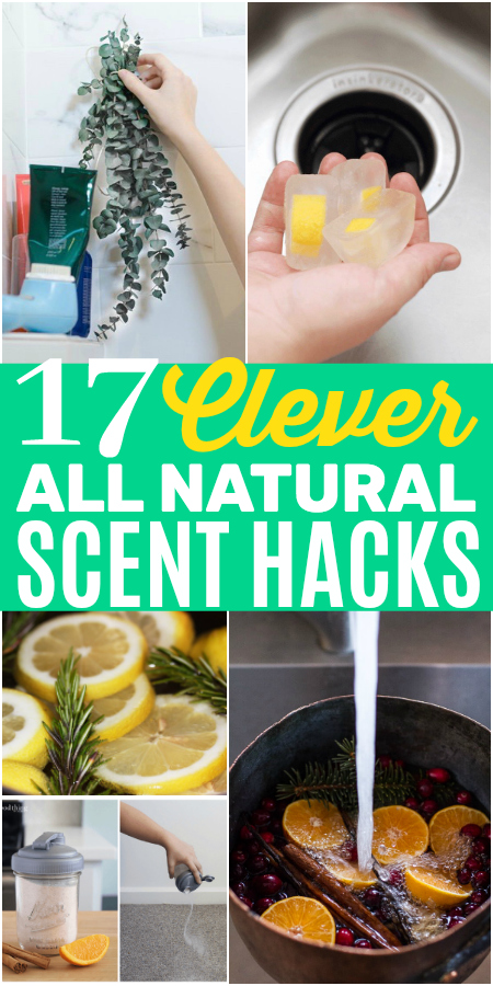 Frugal All Natural Scent Hacks That Will Destroy Odors in Your Home