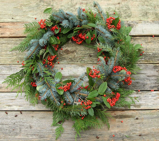 DIY Fresh Christmas Wreath Apieceofrainbow 10 Sarah Blooms   DIY Fresh Christmas Wreath Apieceofrainbow 10 