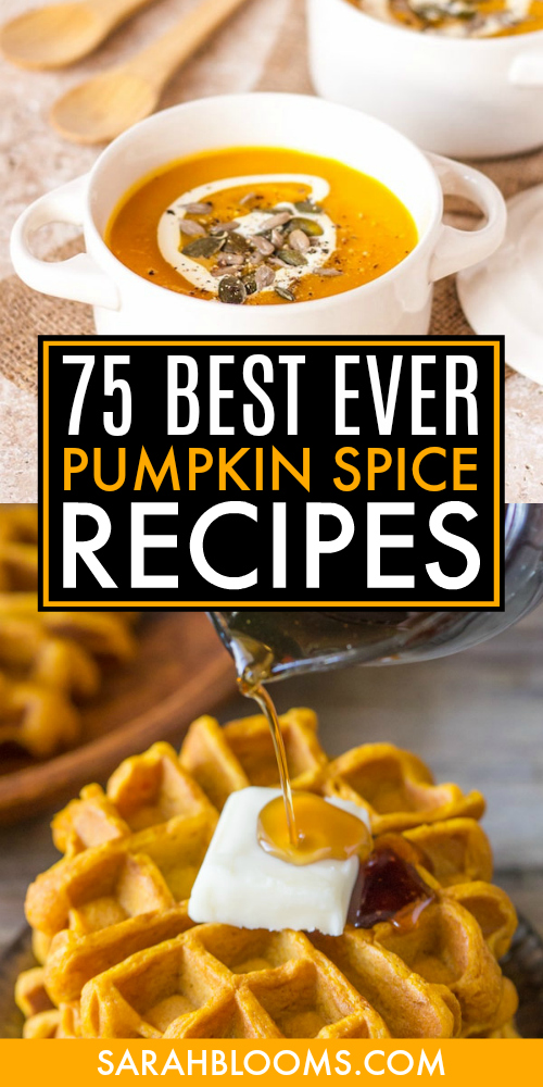 It's Pumpkin Spice Season! Time to go beyond the white cup to try these Easy and Delicious Pumpkin Spice Recipes - drinks, breakfasts, meals, snacks, and desserts perfect for fall. #pumpkin #pumpkinrecipes #pumpkinspice #pumpkinspicerecipes #fallrecipes #SarahBlooms