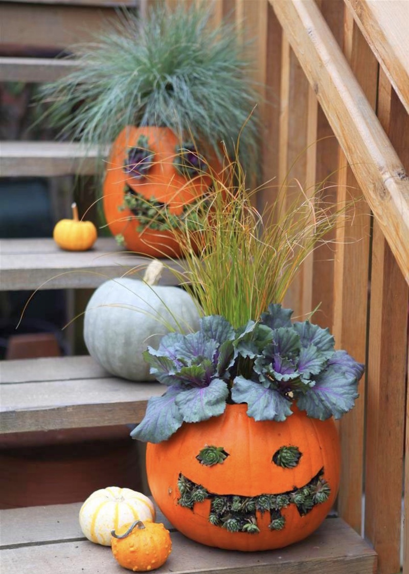Jack O'Planter Best No Carve Pumpkin Decorating Ideas