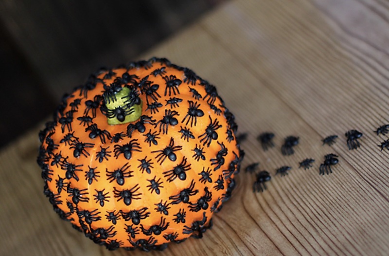 Creepy Crawley Spiders Pumpkin Best No Carve Pumpkin Decorating Ideas