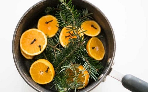 Best Christmas Simmer Pot Recipes