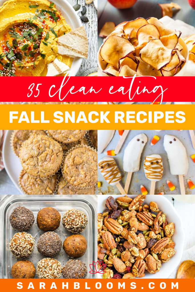 Snack clean this fall with these Healthy and Delicious Fall Snacks your whole family will love! Snack smart this fall with 35 Fall-Inspired Snacks that won't wreck your healthy whole foods diet! #healthyfallsnacks #healthysnacks #cleaneating #cleansnacks #cleaneatingsnacks #sarahblooms #wholefoods #healthyeating #healthyrecipes