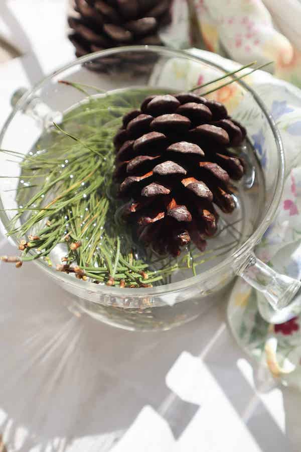 Bring the outdoors in with this fresh, woodsy pine simmer pot.