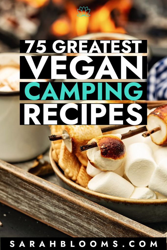 Whether you're in the woods, on the campground, or at home, you can eat great with these 75 Healthy, Quick, and Easy Vegan Camping Recipes!