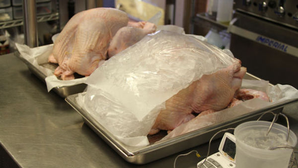 Ice the turkey before cooking for a moister bird - Best Turkey Hacks