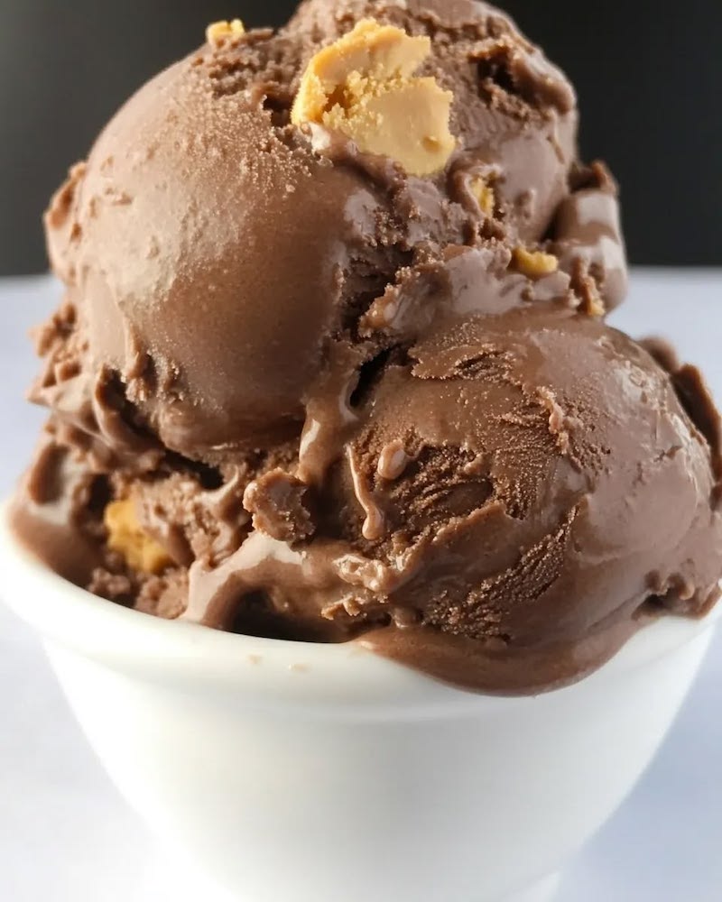 Chocolate peanut butter ice cream with fudge swirls and peanut butter pieces served in a white bowl.