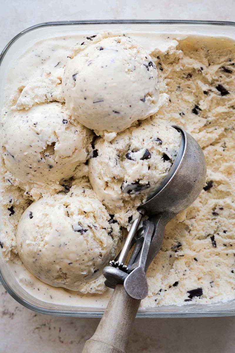 Toasted coconut chocolate chunk ice cream with dark chocolate pieces and toasted coconut served in a bowl.