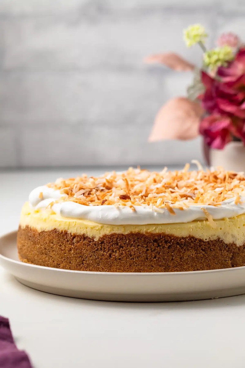 Coconut cream cheesecake with whipped cream and coconut flakes on top.